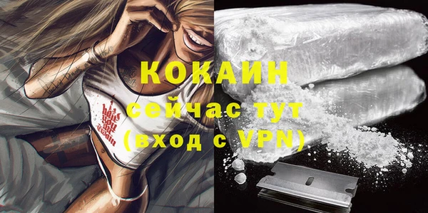 PSILOCYBIN Аркадак