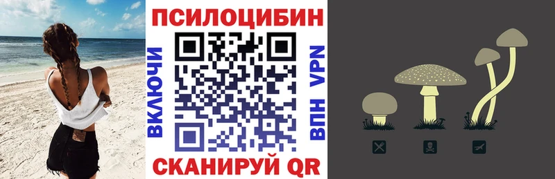 блэк спрут ссылка  Лахденпохья  Галлюциногенные грибы Cubensis 